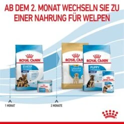 ROYAL CANIN MAXI Starter 15kg -Heimtierbedarf Geschäft 9e0a9c40eb1f66857fbe20359fe8a5065e97d29a 1044296 de DE royalcaninwb5