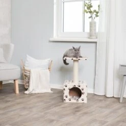 Trixie Kratzbaum Zamora Cat Paws -Heimtierbedarf Geschäft 9ed9306b3f70bbbb75e24ede72d139e1f53724d2 174165cf4bdac761770818865a5fc15c92e12097