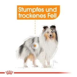 ROYAL CANIN Coat Care Mini 8 Kg 10 ROYAL CANIN Coat Care Mini 8 Kg -Heimtierbedarf Geschäft a015616ba7b0f09bb3635d2f92ec42b058c3bf94 9cc4a6a599d5c6fa50944a6ff8326d322ab5e6f2