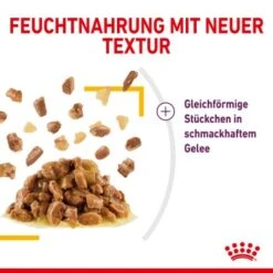 ROYAL CANIN SENSORY Taste In Gelee Für Wählerische Katzen 12x85g -Heimtierbedarf Geschäft a0a9a743b6a6722f849df958bc9024e93eba856b e74a0546ac96b90fff45a5cac73c2ea520ddf555
