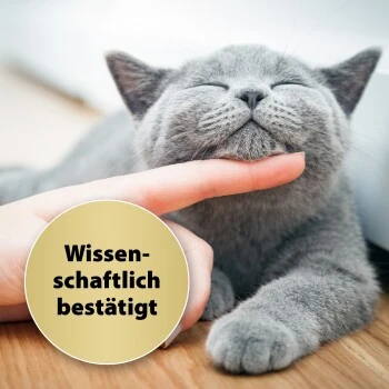 Felisept Home Comfort Beruhigungshalsband Für Katzen 5 Felisept Home Comfort Beruhigungshalsband Für Katzen – Bild 5