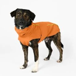 THE DOG IDEA Regenmantel Duke Orange XXXS 10 THE DOG IDEA Regenmantel Duke Orange XXXS -Heimtierbedarf Geschäft a1af009970fbe0d49b23b55aae3478442e9eb5e6 1473000 de DE e975935bd14ae10e3cbf4709cc9d05a6879844e2TUSiIw