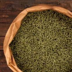 Knabbermann Carangas Meerschweinchenfutter 5 Kg 7 Knabbermann Carangas Meerschweinchenfutter 5 Kg -Heimtierbedarf Geschäft a2e9cfd2264a4440e350760ec4221a6690c6de11 1428488 de DE 94a0405cce40204948fd074580f5b244e504aac3WMbRWS