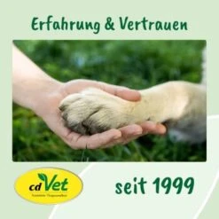 DentaVet Gel 25ml 9 DentaVet Gel 25ml -Heimtierbedarf Geschäft a3f0f225424e36ead3f58163a43f1ebde29b0acd 1667843 de DE f215127866d604991b4efc218004018ddf447095y5Ccte