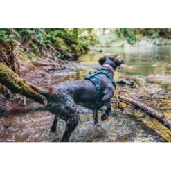 Kurgo Journey Air Hundegeschirr Blau/ Grau L -Heimtierbedarf Geschäft a4350be6a2cf19b9d7aaa9c1b93505a674fae49c 1353742 de DE d9d61dbeff29f339bbfc0a1de7ebbca10df26980OCBtYH