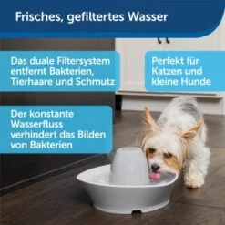 PetSafe Trinkbrunnen Streamside 9 PetSafe Trinkbrunnen Streamside -Heimtierbedarf Geschäft a4863bb01c9defc206f3abadb7407b11767619bd 1423698 de DE d7c376710365041814bb26a7ca9d55a6a9011fd8Nm0GoI