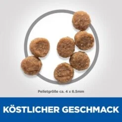 Hill's Science Plan Small & Miniature Puppy Mit Huhn 3 Kg 13 Hill's Science Plan Small & Miniature Puppy Mit Huhn 3 Kg -Heimtierbedarf Geschäft a4ce6e7e4d36f58c015ffabc635fac3079e3eb95 52742281704 6