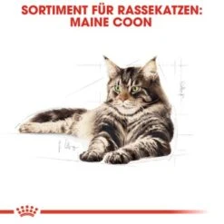 ROYAL CANIN Maine Coon 12x85g 9 ROYAL CANIN Maine Coon 12x85g -Heimtierbedarf Geschäft a5125a261db08921e9cf46ebc8fabd7e8cbf5fac 1229815 de DE rc 2