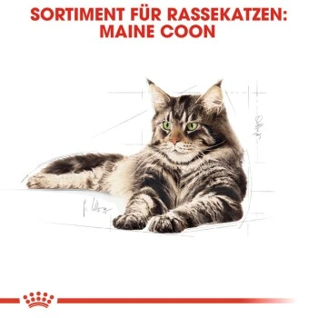ROYAL CANIN Maine Coon 12x85g 4 ROYAL CANIN Maine Coon 12x85g – Bild 4