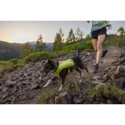 Ruffwear Trail Runner™ Leine 18 Ruffwear Trail Runner™ Leine -Heimtierbedarf Geschäft a5e8a95b67ab4a40ed78579217427f0ab0222efa 1651448 de DE 5a8260028b8fd2772da5e61732fbde05b9e5b903tiQYKB