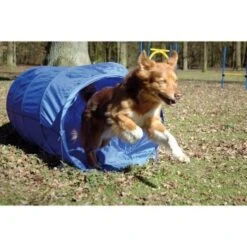 Dobar Agility Tunnel, 60 X 500 Cm 6 Dobar Agility Tunnel, 60 X 500 Cm -Heimtierbedarf Geschäft a70db425a55e65c0dd33cb4658677f3cead28e72 3dc1d9596c73e287c8ea8bc83f8445abe7adc92a