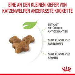 ROYAL CANIN Kitten 4 Kg 19 ROYAL CANIN Kitten 4 Kg -Heimtierbedarf Geschäft a8df74b6725246cc1c5fa7ed87e8fdc0a4cfc24f 3182550702973 6