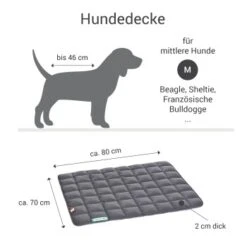 Doctor Bark Hundedecke Grün M -Heimtierbedarf Geschäft a94f9155e4e3594e9362b3931930cb77b7e48bcd 1658159 de DE d35f413da598052eaa87fce5f44df376cd53859do9MNja
