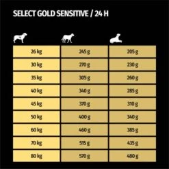 SELECT GOLD Sensitive Senior Maxi Lamm & Reis 4 Kg 13 SELECT GOLD Sensitive Senior Maxi Lamm & Reis 4 Kg -Heimtierbedarf Geschäft aa78ff5876e7610406354855bc1742a79f0eb6d9 1001718008 de DE 7