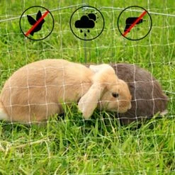 Lionto Katzennetz Inkl. Befestigung 6 Lionto Katzennetz Inkl. Befestigung -Heimtierbedarf Geschäft ad1b651d8bcc461ab7a5d32a4c77b44e521cf768 1665913 de DE 7c500006d9abf3223e26fa8841d70bed2db024adIv4nbt