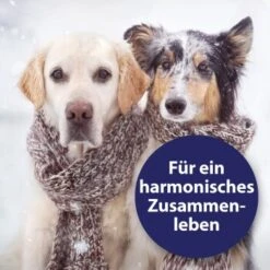 Canosept Home Comfort Beruhigungsspray Für Hunde 100 Ml -Heimtierbedarf Geschäft adccfc5a19c76ad9b128183d6445b9a0ce37b36d 1265539 de DE Canosept 2