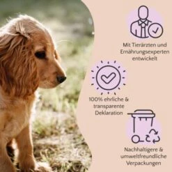 FAVLY Petfood Nature Cookies Hirsch 360 G 11 FAVLY Petfood Nature Cookies Hirsch 360 G -Heimtierbedarf Geschäft ae0e416bd82871a8a65b5b89ea5ccac268b91726 1474001 de DE 80624b888460a5c29f043365a19496292e44fd84erjjco