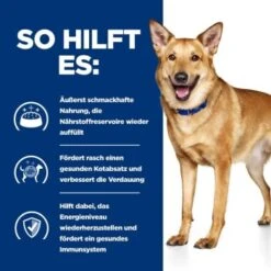 Hill's Prescription Diet Digestive Care I/d Mit Huhn 4 Kg -Heimtierbedarf Geschäft aec07d1c4537753428e8965c265de8b101de060f ae761794660977e7a486e614e12e339a678461f0