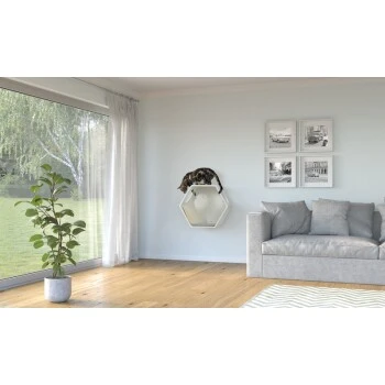 AniOne Wandhöhle 4 AniOne Wandhöhle – Bild 4