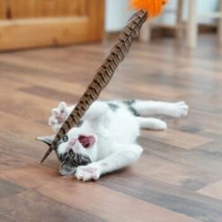 Schlitzohr Federwedel Birdy 3er Pack 15 Schlitzohr Federwedel Birdy 3er Pack -Heimtierbedarf Geschäft b2468018bd2b888c11ee64154d86732de60c7830 1659562 de DE 7d36675a42a956412d003b03e1f072b0ae0379063UsHBd