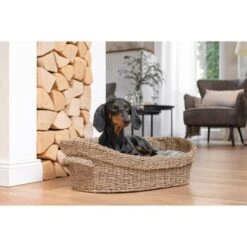 AniOne Korbbett S -Heimtierbedarf Geschäft b27e51a850e4aa304f38835cc0b11c9362a5f503 1372191 de DE AniOne Bett 3