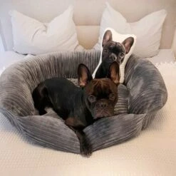 Wallace & Jones Hundebett Cordo Dunkelgrau S 14 Wallace & Jones Hundebett Cordo Dunkelgrau S -Heimtierbedarf Geschäft b2a6809ea4cda92d483cec8a310d5506dd3e1034 1449005 de DE ca672695c629536ba83851f030e1af44afa2847927w0ii