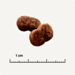 SELECT GOLD Hair+Skin Senior Geflügel & Lachs 2,5 Kg 10 SELECT GOLD Hair+Skin Senior Geflügel & Lachs 2,5 Kg -Heimtierbedarf Geschäft b42128ae83c41454d6be7d6047b7c0aaed5f051a 1001086011 de DE 6