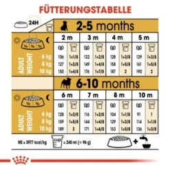 ROYAL CANIN Mops Puppy 1,5 Kg 13 ROYAL CANIN Mops Puppy 1,5 Kg -Heimtierbedarf Geschäft b4fde8fc0325fcebebf1f7ba77ece4a760892ed2 1142a47ae7899b973d3881a321687bd221657b17