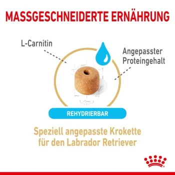 ROYAL CANIN Labrador Retriever 5+ Adult 12 Kg 5 ROYAL CANIN Labrador Retriever 5+ Adult 12 Kg – Bild 5