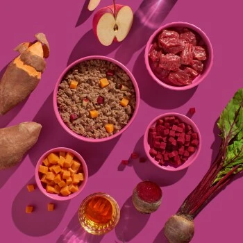 Fred & Felia FRED 10x200g Pferd Mit Süßkartoffeln 4 Fred & Felia FRED 10x200g Pferd Mit Süßkartoffeln – Bild 4