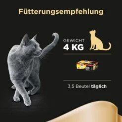 Sheba Delikatesse In Gelee 40x85g 11 Sheba Delikatesse In Gelee 40x85g -Heimtierbedarf Geschäft bbaa02f757fde6870dc20a49fc3a0038b9dee9ca da996aa0a5acf0483f2a5edefc15d5dc9cb6c05f