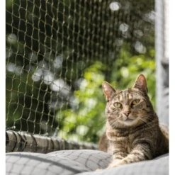 Trixie Katzenschutznetz Cat Protect 2 M, 1,5 M -Heimtierbedarf Geschäft bc6f0b8052c3a5b997776619d64762770aac1a9d 1017572 de DE trixie schutznetz wb2