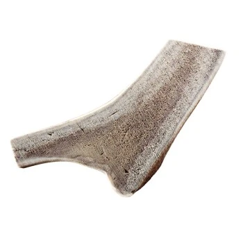 Chewies Rothirsch-Geweihstange - Halbiert 1 Stück 1 Chewies Rothirsch-Geweihstange - Halbiert 1 Stück