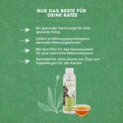 MediCat Probio Vitaldrunk 6 MediCat Probio Vitaldrunk -Heimtierbedarf Geschäft c09e3e649fc5c58a3dbb0506a4b155433b98dbcc 1480510 de DE 503ebf013af5bf61efdf3e9d57bf86634fc79ebdUTRPvI