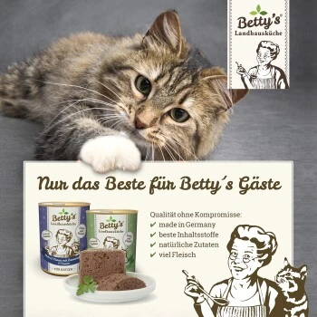Betty's Landhausküche Huhn Mit Lachs & Borretschöl 6 X 200g Für Katze 3 Betty's Landhausküche Huhn Mit Lachs & Borretschöl 6 X 200g Für Katze – Bild 3