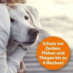 Ardap Zeckenspray Zur Anwendung Am Tier 250ml -Heimtierbedarf Geschäft c211242df7e08f33fd5b606730fbf3d298e6cd4c 1288166 de DE 0495e7c3c66b5adb548c78a490f9c5a9804bc777AYMdPn