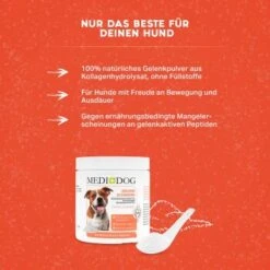 MediDog Gelenkschmiere -Heimtierbedarf Geschäft c2260bdbd924fcc5c3919c27254c4c1dc8dd9d9a 1660407 de DE 24aca3d9f49784b2b40f2e4078cdf1aaa1e37af9iudOQZ