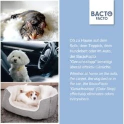 ChronoBalance BactoFacto Probiotischer Geruchsstopp Pads Für 2 Liter 20 Ml -Heimtierbedarf Geschäft c27e75fc226c89e592b2af9866887997e79057a8 1397549 de DE 11eaf103bff429178d8c79950fc83faf63345183BU6JEF