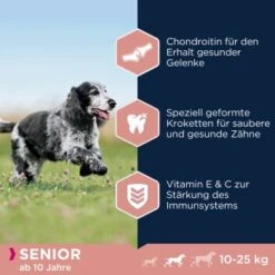 EUKANUBA Caring Senior Medium Breed 15 Kg -Heimtierbedarf Geschäft c59963b2bf12d7ba820a9f846f7d788be1ad27ba 1293661 de DE asf 2