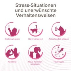 Beaphar CatComfort Excellence Starter-Kit 48ml -Heimtierbedarf Geschäft c5acac2221a0b2cf3e7346d9f61b6606812afde8 1416646 1 1