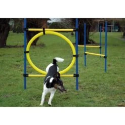 Dobar 3-teiliges Agility Sprung-Set,, Inkl. Tragetasche -Heimtierbedarf Geschäft c7c9dd298510f0bd74d586405ecbd396df04c759 313726f2dd166c5ec13855d4374275bbe5eeeeec