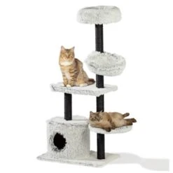 Silvio Design Katzenbaum Lia 18 Silvio Design Katzenbaum Lia -Heimtierbedarf Geschäft c81df2c7cf1859fad171491105b6c7f17ec56689 ca032ae2d9d19e79be2dadb05575650e9b4d0ebe