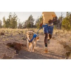 Ruffwear Trail Runner™ Leine 14 Ruffwear Trail Runner™ Leine -Heimtierbedarf Geschäft caf2297a191491c28eeb3a22b1fdc7047bab611d 1651448 de DE fde7e85ea7aaab9a195c72c45a0c0b94c8c18aa1hyvWB4