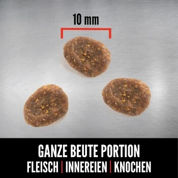 Orijen Six Fish Cat 1,8 Kg – Bild 2