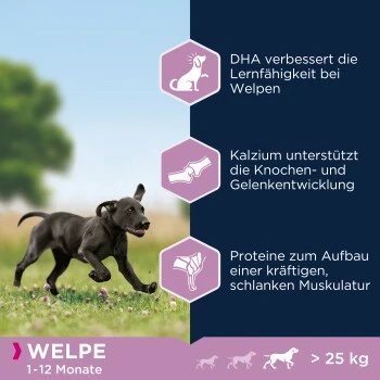 EUKANUBA Puppy Large Breed 15 Kg 5 EUKANUBA Puppy Large Breed 15 Kg – Bild 5