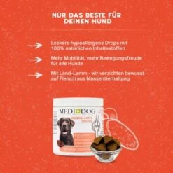 MediDog Gelenk Aktiv Drops 6 MediDog Gelenk Aktiv Drops -Heimtierbedarf Geschäft ce4b4dc101e61c8b01790fff349fad9c45904630 1660398 de DE 7e78786d5b2ebd33c814e31255213190777161efkciGAC