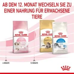 ROYAL CANIN Kitten 4 Kg 15 ROYAL CANIN Kitten 4 Kg -Heimtierbedarf Geschäft cf133300f1a1c045b6143772211651d61c06ad62 3182550702973 7