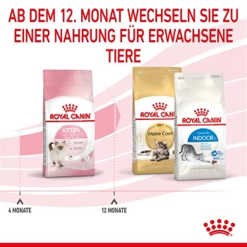 ROYAL CANIN Kitten 4 Kg 6 ROYAL CANIN Kitten 4 Kg – Bild 6