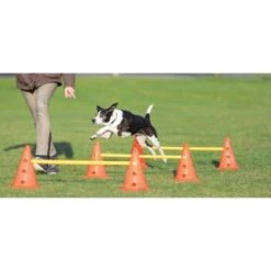 Trixie Dog Activity Hindernisse Ø23x30cm -Heimtierbedarf Geschäft cf5032631aac0df221da4281f2bf49a2321f1aa1 1287032 de DE Trixie Hindernisse wb 1