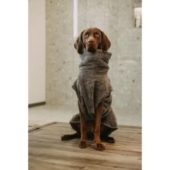 Lills Lill's Hundebademantel "Night Blue" 35 Cm -Heimtierbedarf Geschäft d200b579b2b65ad9031ca5a6286c317e485ef232 1653379 de DE 98bc74239c4ab048310224eeb67c837697c0c318SRPWrI